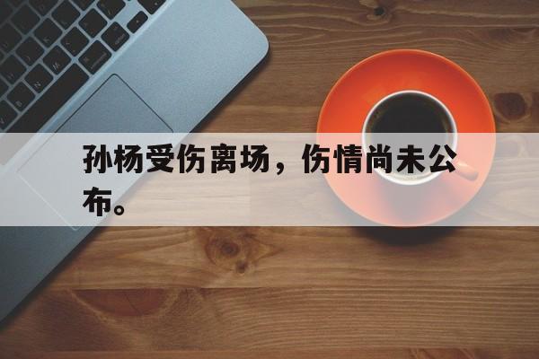 开元体育官网-孙杨受伤离场，伤情尚未公布。